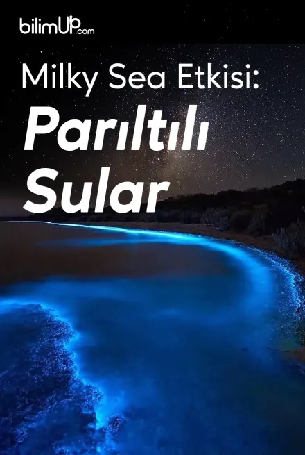 Milky Sea Etkisi: Parıltılı Sular