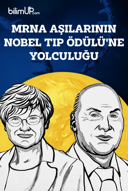 mRNA Aşılarının Nobel Tıp Ödülü'ne Yolculuğu