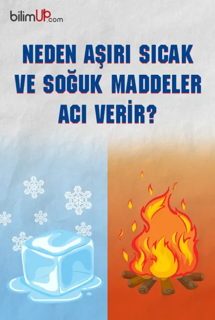 Neden Aşırı Sıcak ve Soğuk Maddeler Acı Verir?