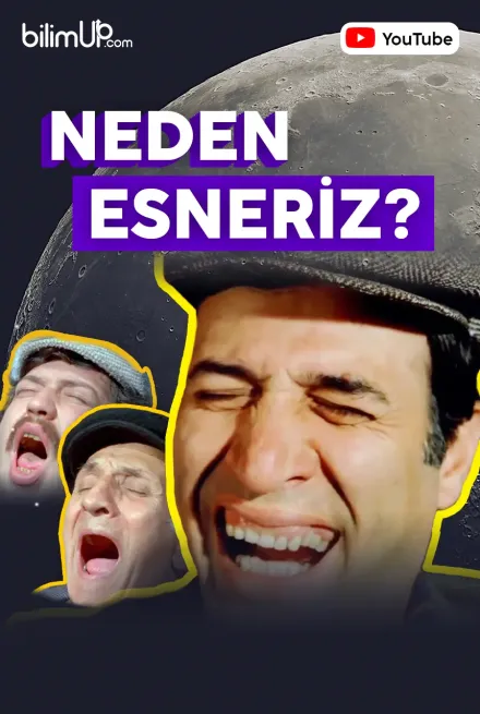 Neden Esneriz? - Video