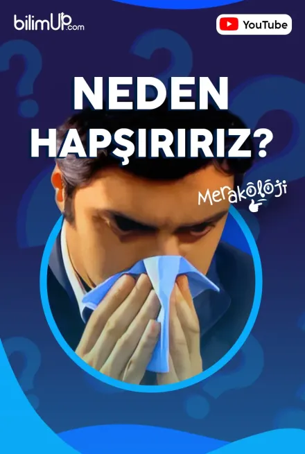 Neden Hapşırırız? - Video
