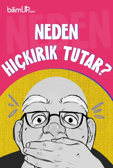 Neden Hıçkırık Tutar?
