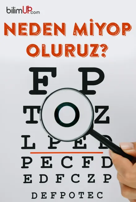 Neden Miyop Oluruz?