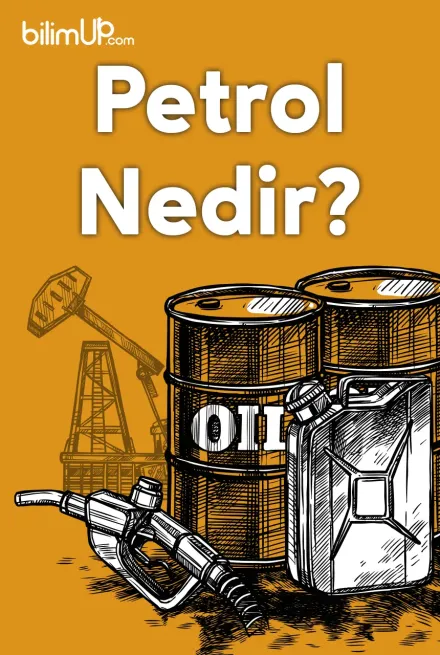 Petrol Nedir?