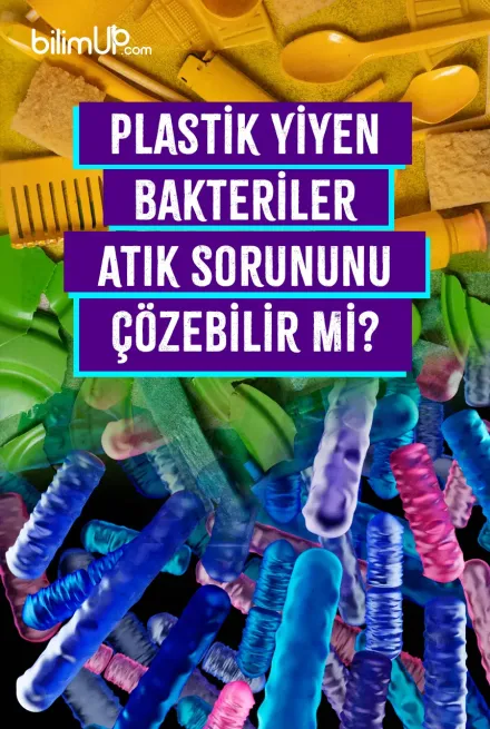 Plastik Yiyen Bakteriler Atık Sorununu Çözebilir Mi?
