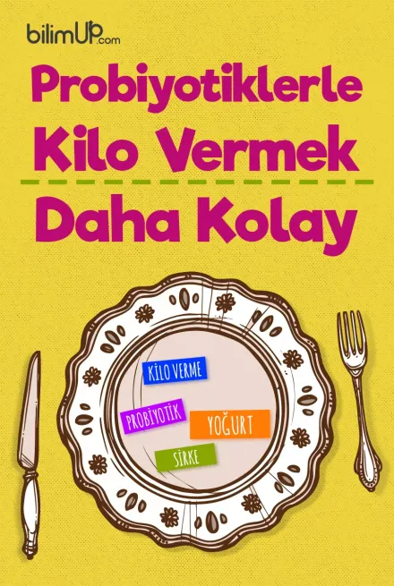 Probiyotiklerle Kilo Vermek Daha Kolay