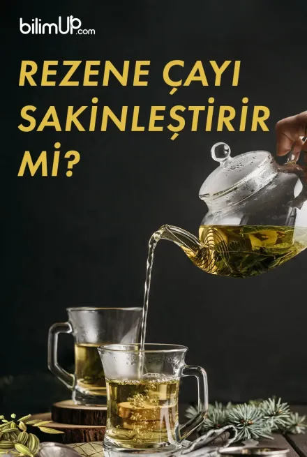 Rezene Çayı Sakinleştirir mi?