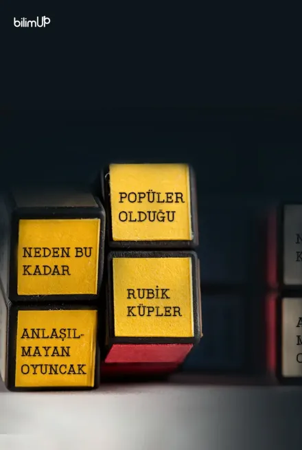 Rubik Küpler