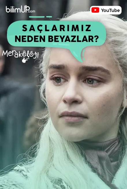 Saçlarımız Neden Beyazlar? - Video