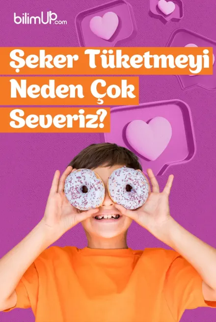 Şeker Tüketmeyi Neden Çok Severiz?