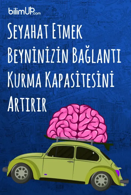 Seyahat Etmek Beyninizin Bağlantı Kurma Kapasitesini Artırır