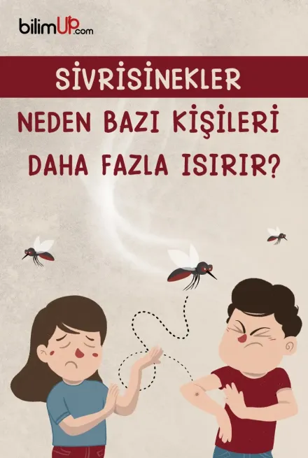 Neden Sivrisinekler Bazı İnsanları Daha Çok Isırır?