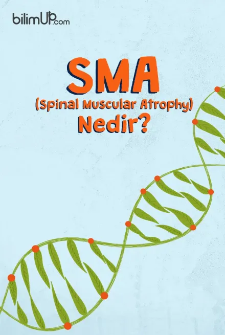 SMA (Spinal Muscular Atrophy) Nedir?