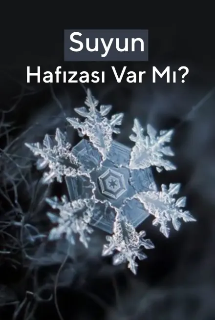 Suyun Hafızası Var Mıdır?