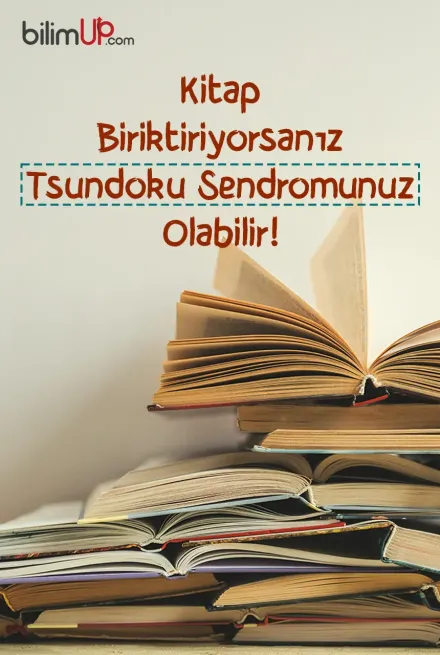 Kitap Biriktiriyorsanız Tsundoku Sendromunuz Olabilir!