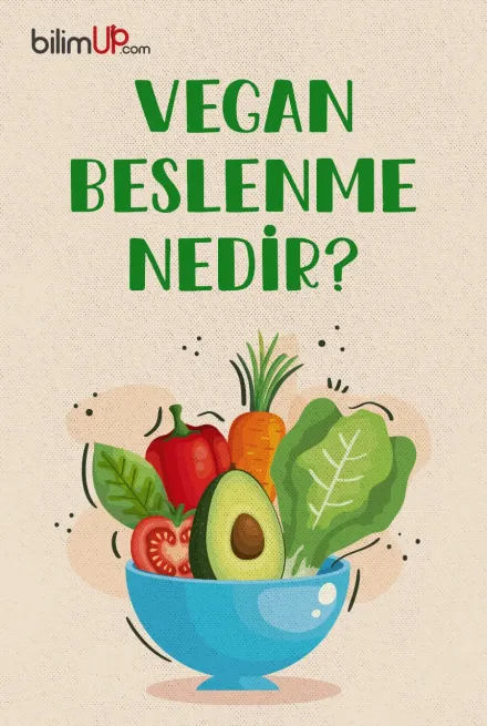 Vegan Beslenme Nedir?