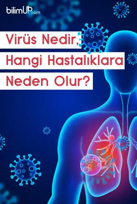 Virüs Nedir, Hangi Hastalıklara Neden Olur?