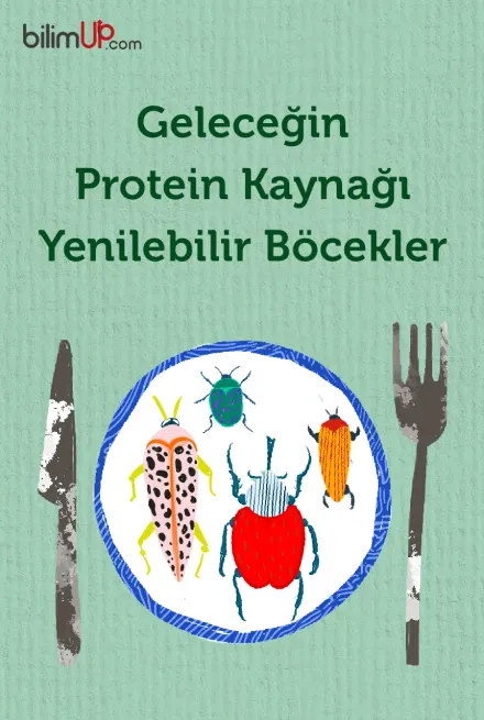 Geleceğin Protein Kaynağı Yenilebilir Böcekler