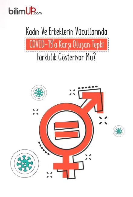 Kadın Ve Erkeklerin Vücutlarında COVID-19’a Karşı Oluşan Tepki Farklılık Gösteriyor Mu?
