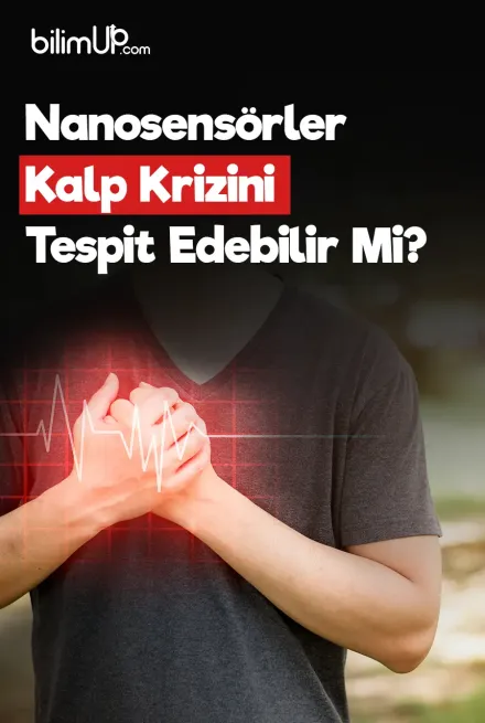 Nanosensörler Kalp Krizini Tespit Edebilir Mi?