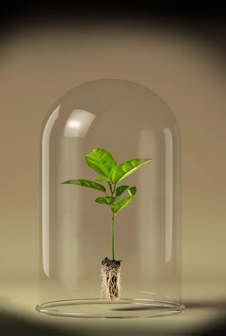 İklim Değişikliği