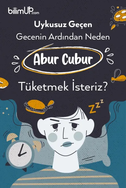 Uykusuz Geçen Gecenin Ardından Neden Abur Cubur Tüketmek İsteriz?