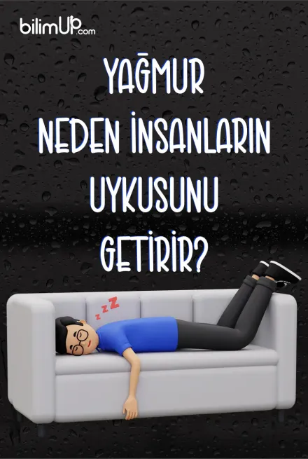 Yağmur Neden İnsanların Uykusunu Getirir? Yağmurun Uyku Üzerindeki Etkisi