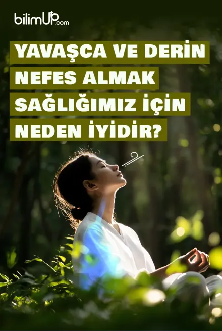 Yavaşca ve Derin Nefes Almak Sağlığımız için Neden İyidir?