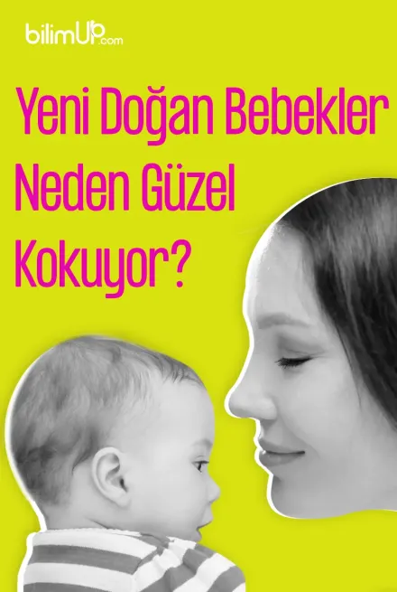 Yeni Doğan Bebekler Neden Güzel Kokuyor?