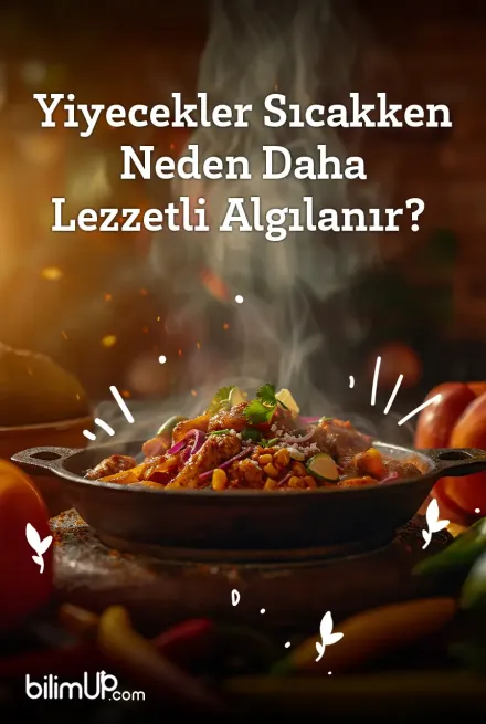 Yiyecekler Sıcakken Neden Daha Lezzetli Algılanır?