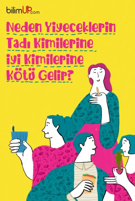 Neden Yiyeceklerin Tadı Kimilerine İyi, Kimilerine Kötü Gelir?