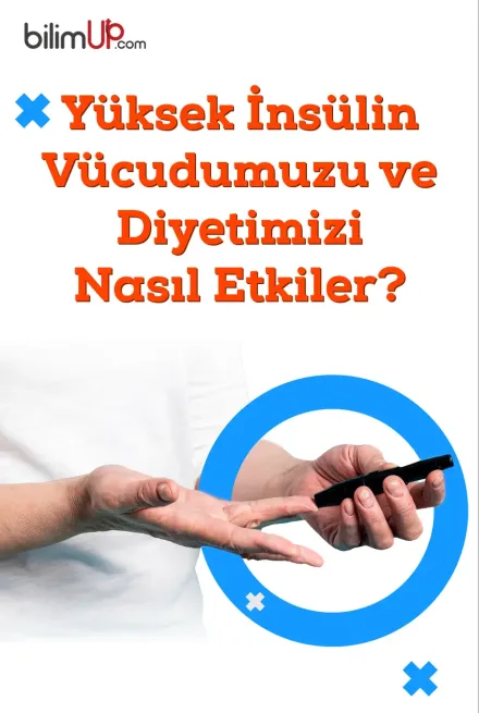 Yüksek İnsülin Vücudumuzu ve Diyetimizi Nasıl Etkiler?