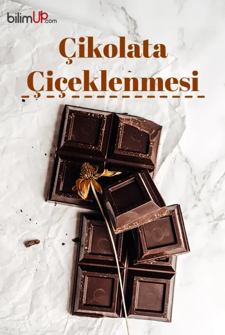 Çikolata Neden Beyazlar? Çikolata Çiçeklenmesi