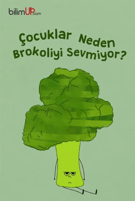 Çocuklar Neden Brokoliyi Sevmiyor?
