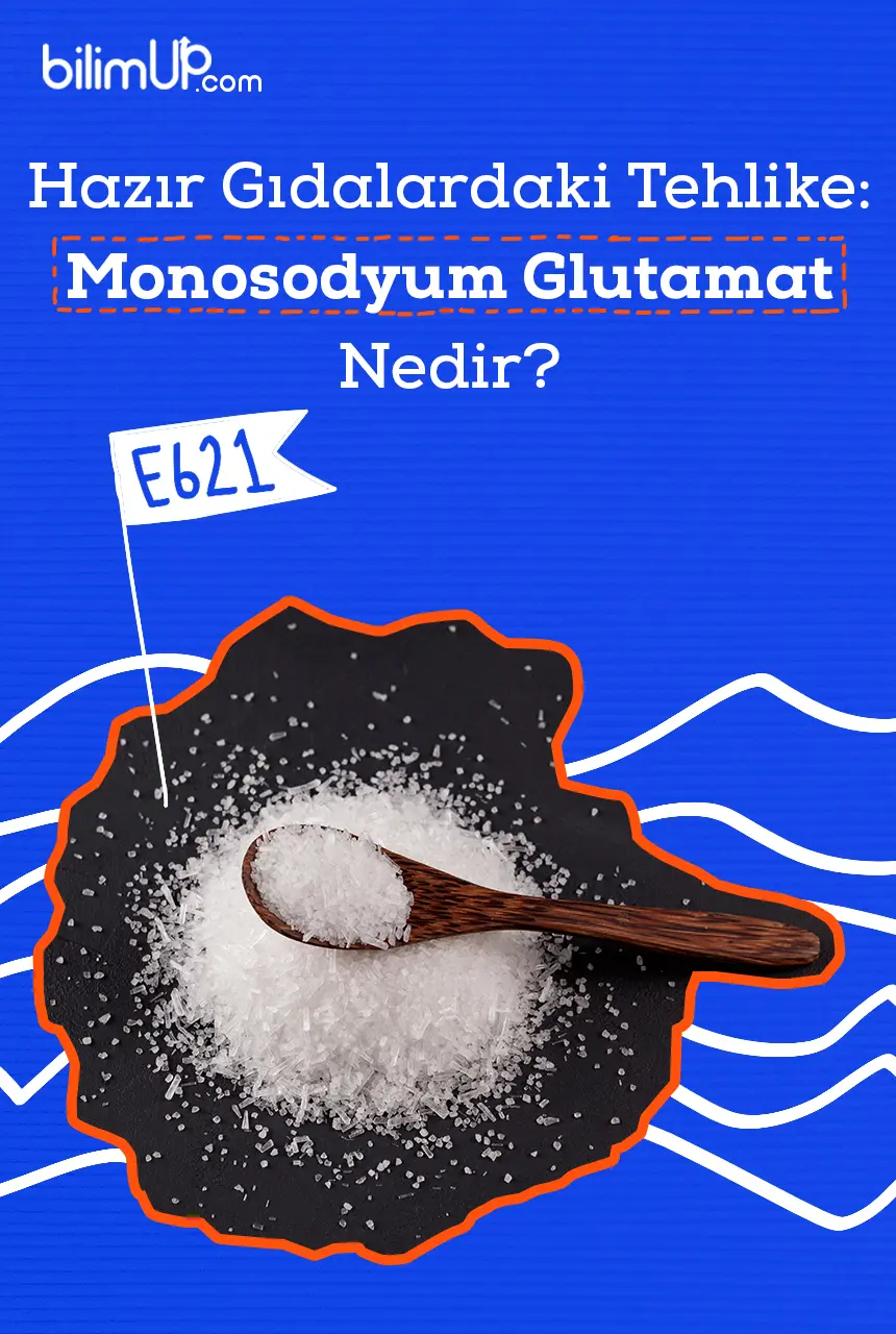 Hazır Gıdalardaki Tehlike: Monosodyum Glutamat nedir?