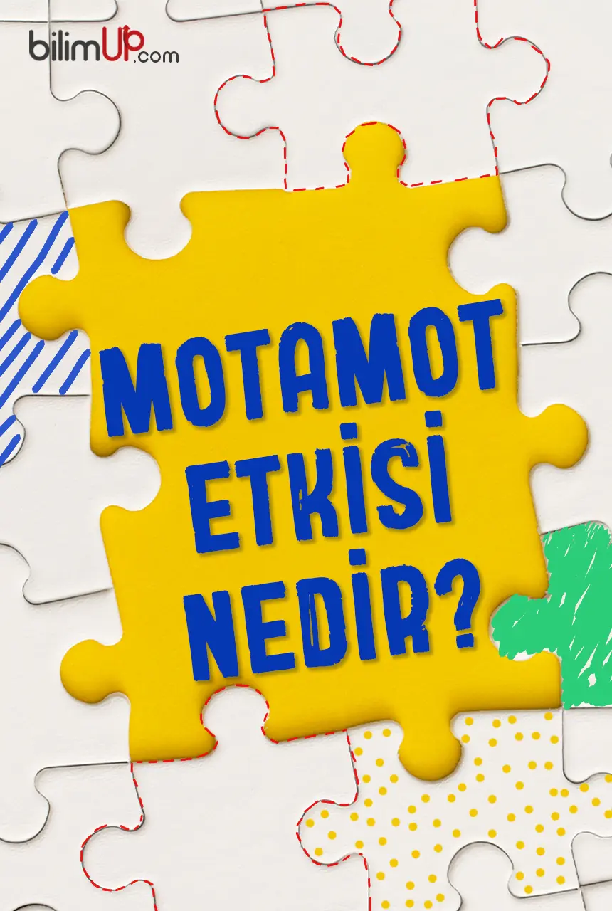 Motamot Etkisi Nedir?