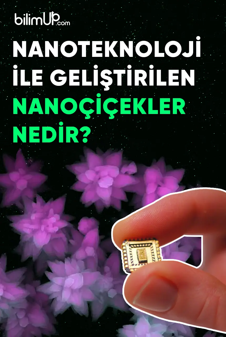 Nanoteknoloji ile Geliştirilen Nanoçiçekler Nedir?
