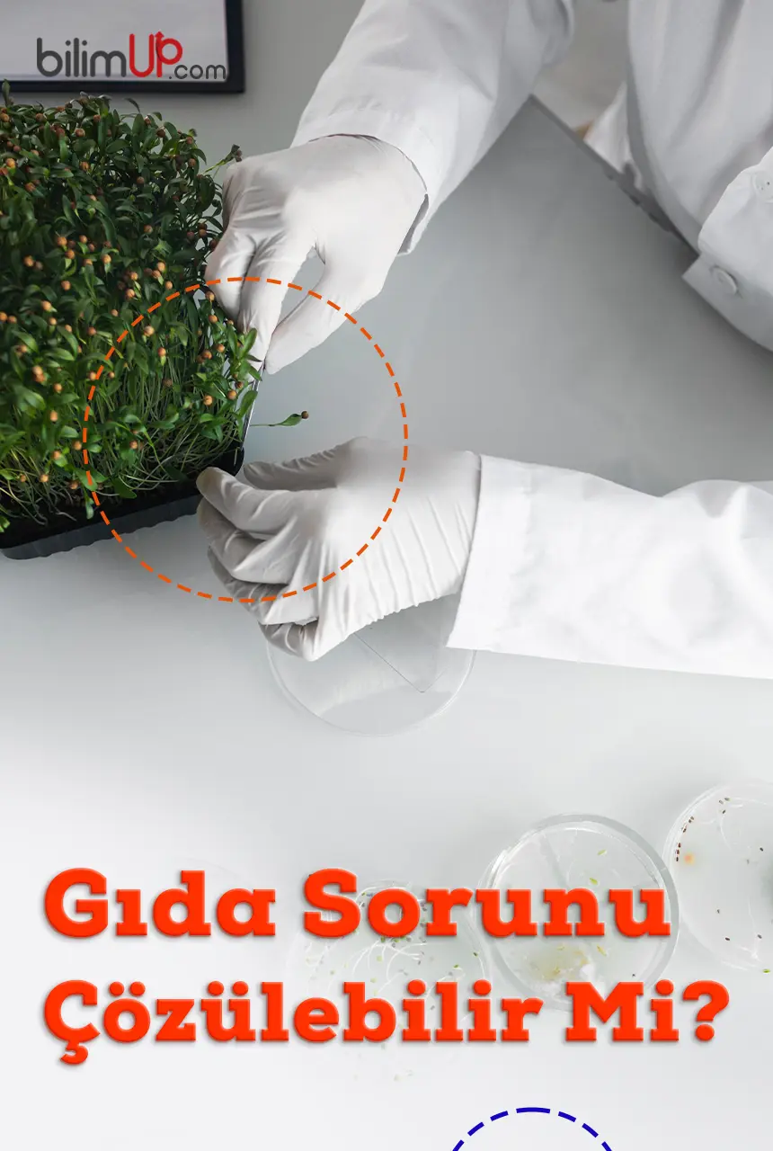 Gıda Sorunu Çözülebilir Mi?