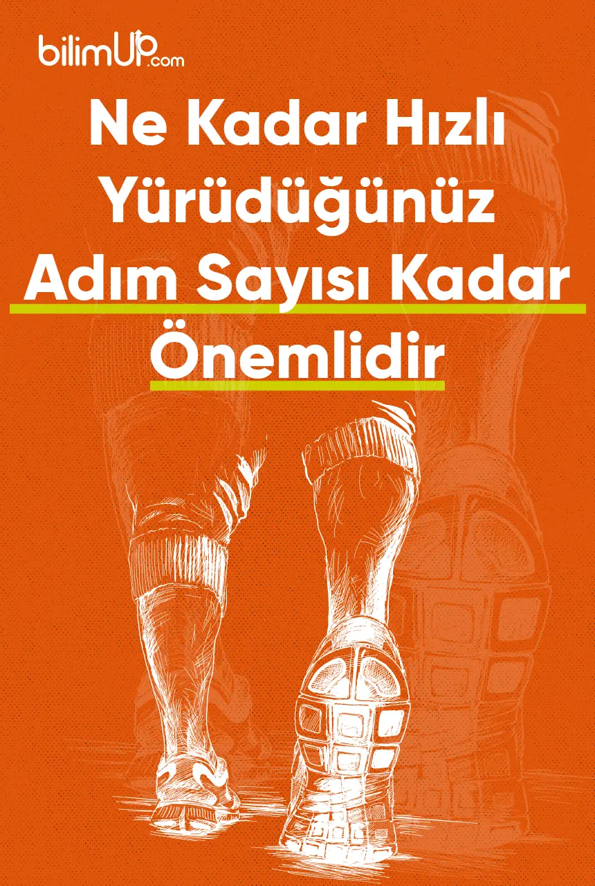 Ne Kadar Hızlı Yürüdüğünüz Adım Sayısı Kadar Önemlidir