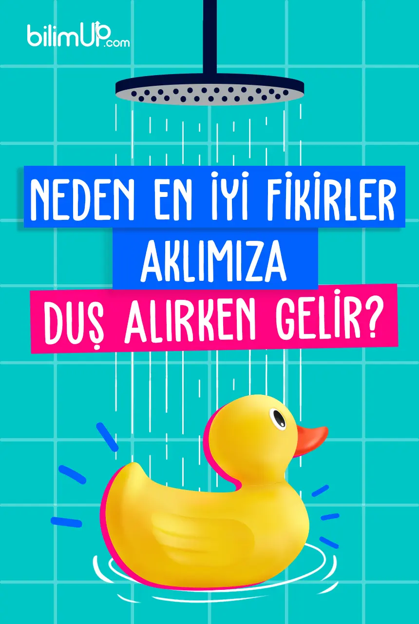 Neden En İyi Fikirler Aklımıza Duş Alırken Gelir?
