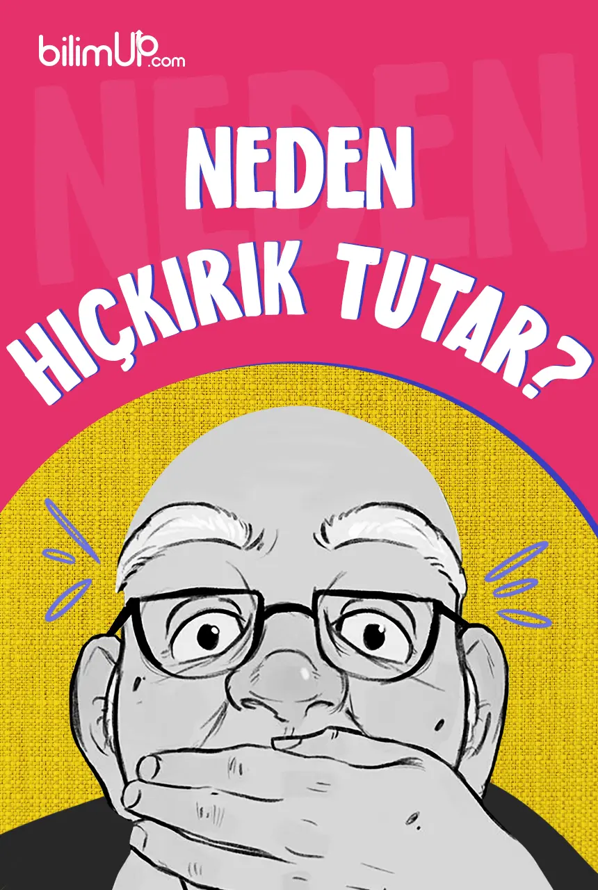 Neden Hıçkırık Tutar?