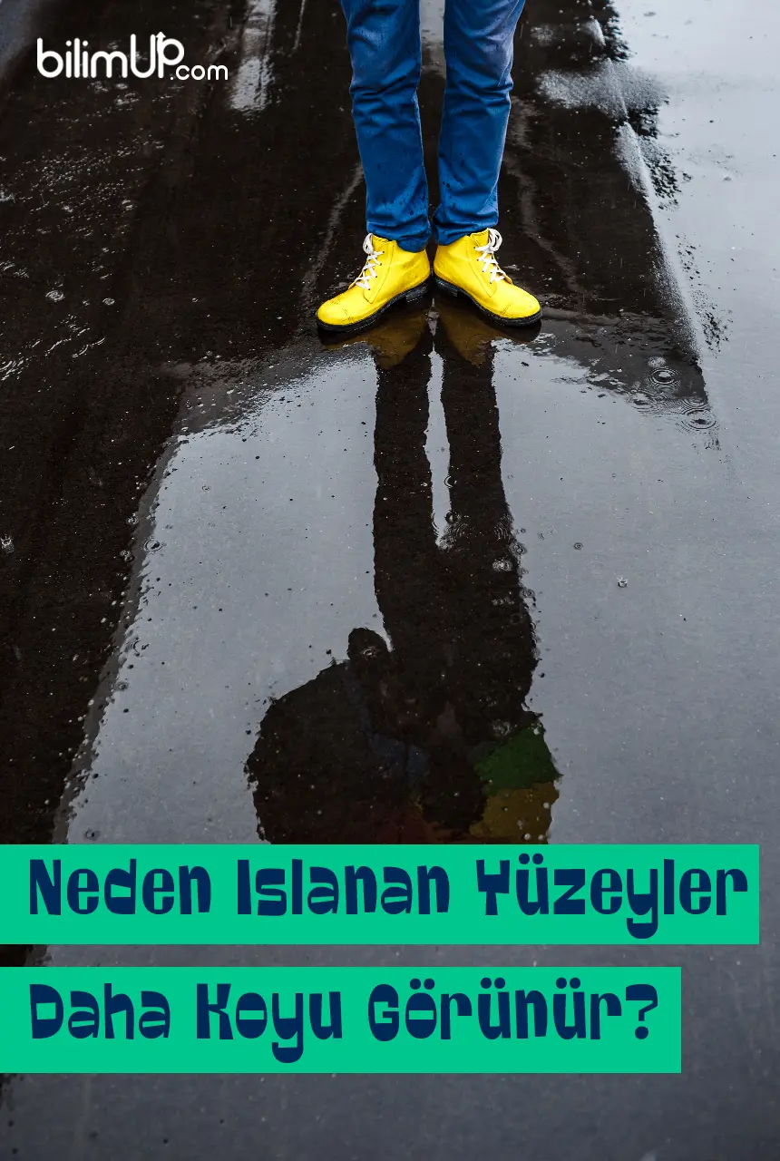 Neden Islanan Yüzeyler Daha Koyu Görünür?