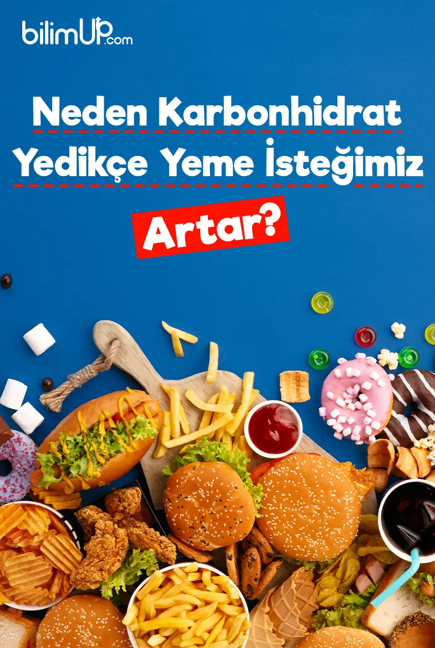Neden Karbonhidrat Yedikçe Yeme İsteğimiz Artar?