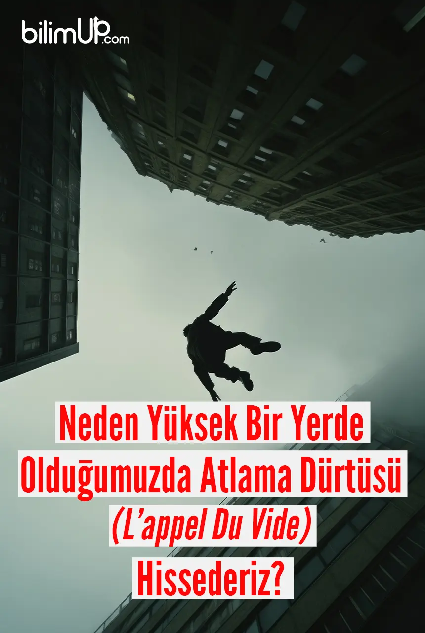 Neden Yüksek Bir Yerde Olduğumuzda Atlama Dürtüsü (L’appel Du Vide) Hissederiz?