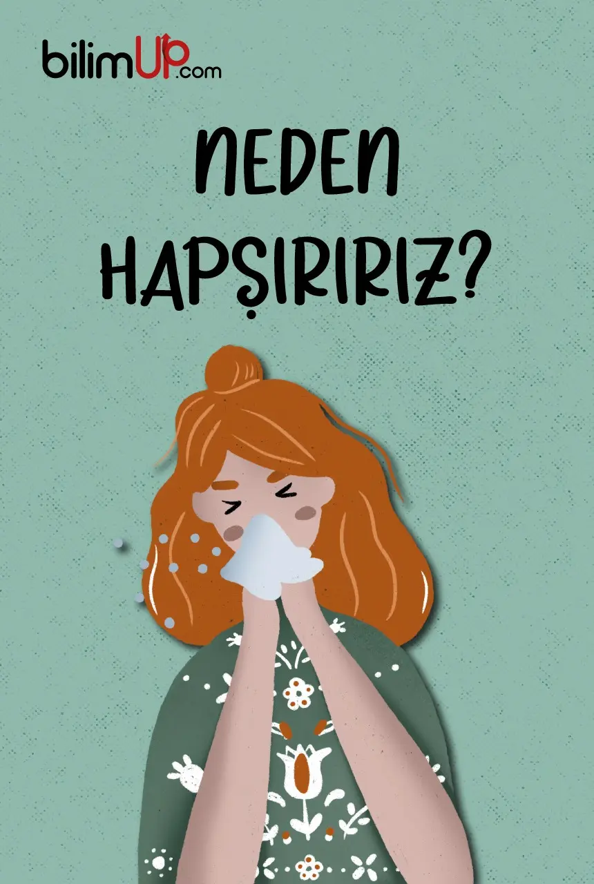 Neden Hapşırırız?