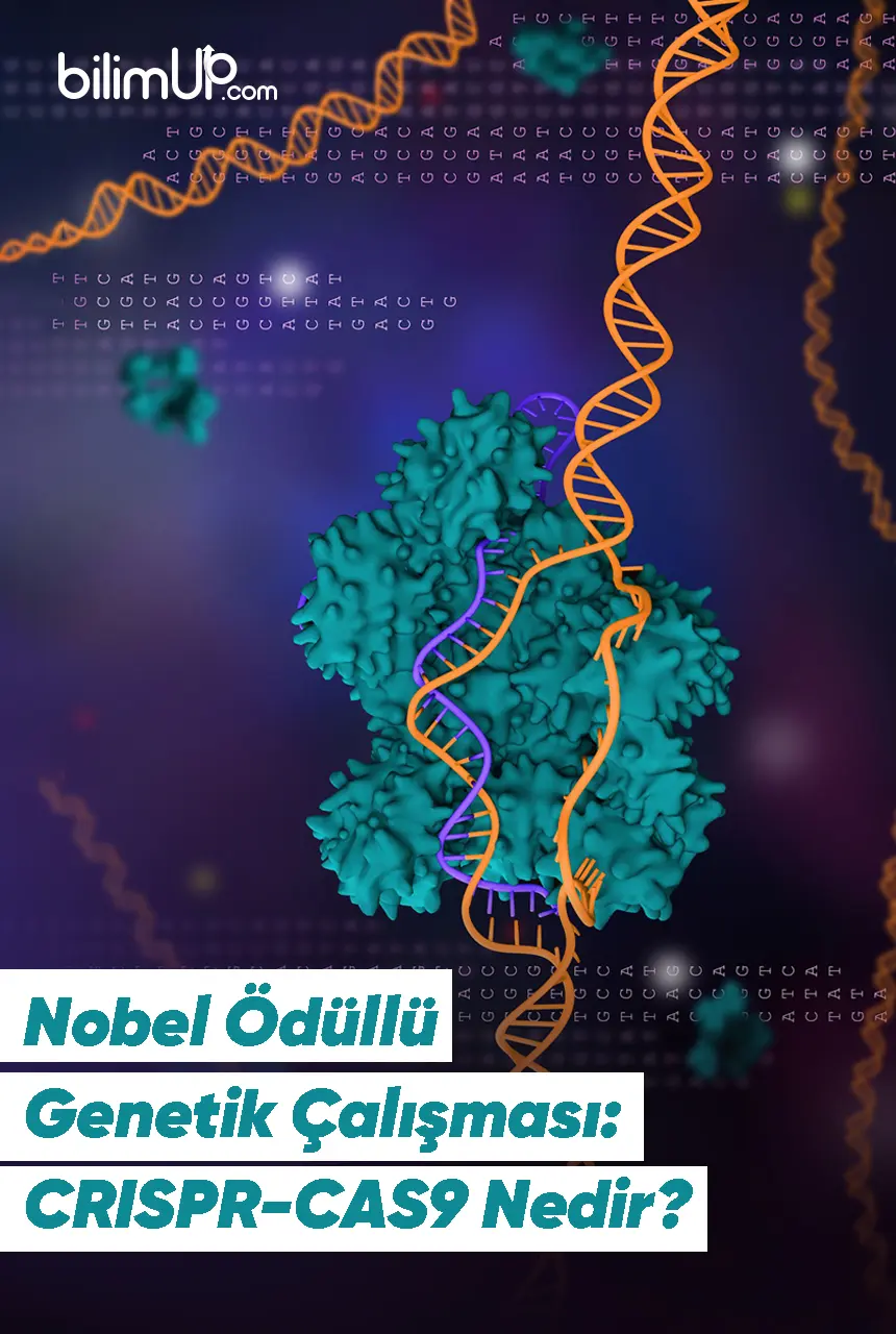 Nobel Ödüllü Genetik Çalışması: CRISPR-CAS9 Nedir?