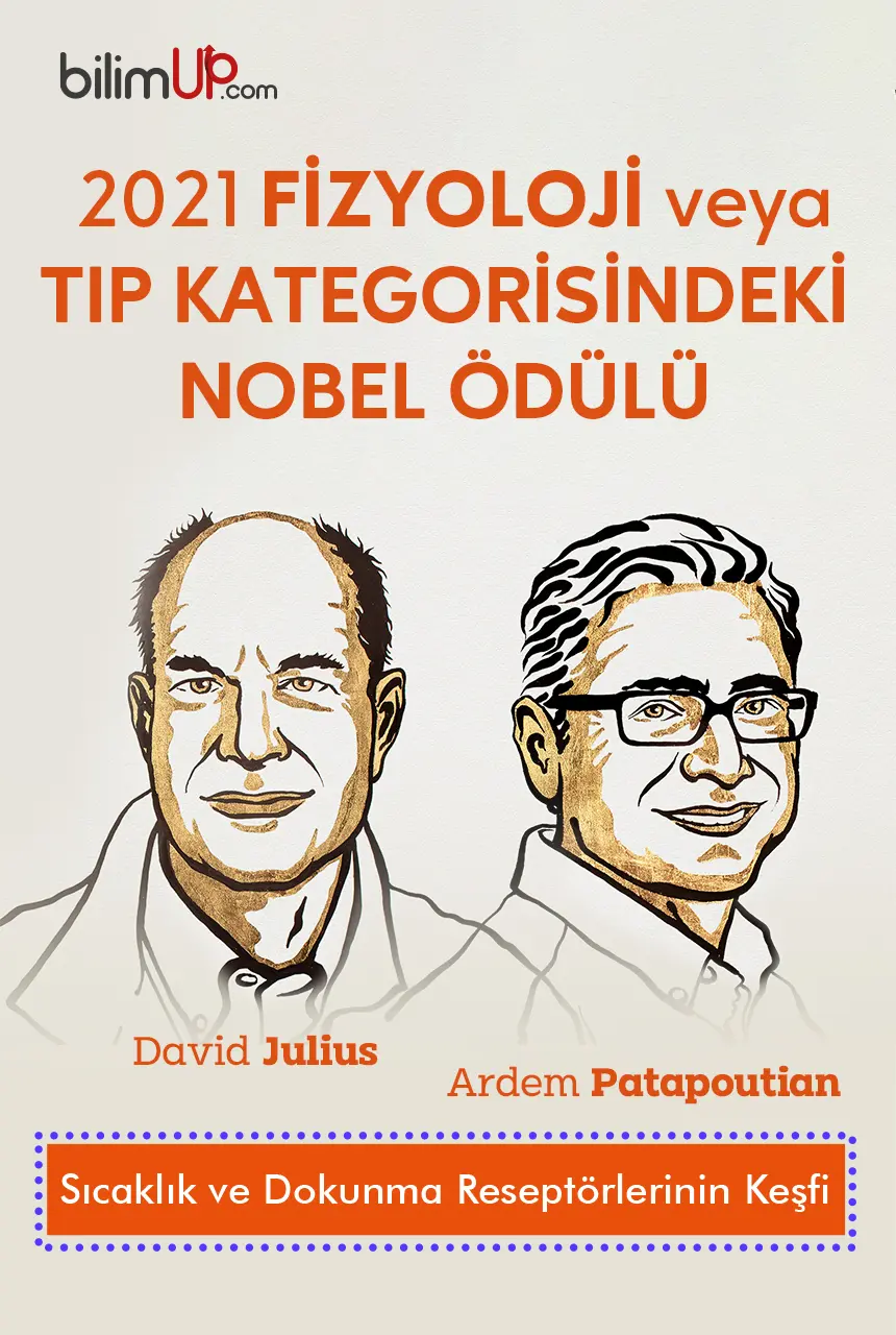 2021 Nobel Ödülünün Sahibi: Sıcaklık ve Dokunma Reseptörlerinin Keşfi