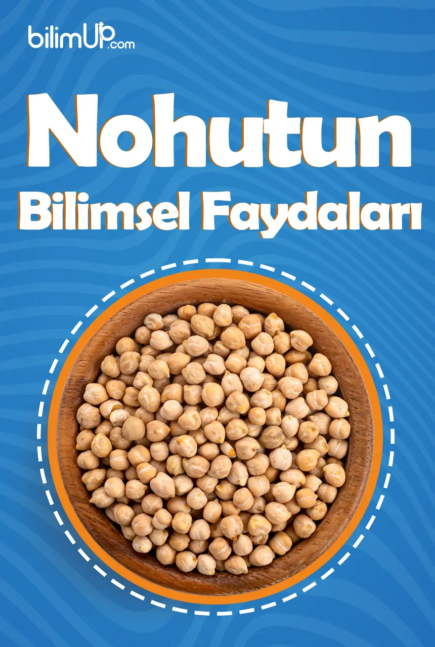 Nohutun Bilimsel Faydaları Nelerdir?