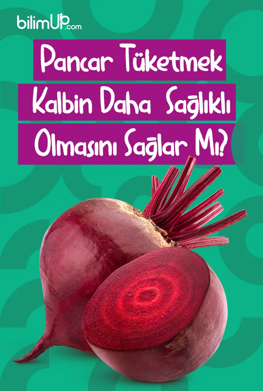 Pancar Tüketmek Kalbin Daha Sağlıklı Olmasını Sağlar Mı?