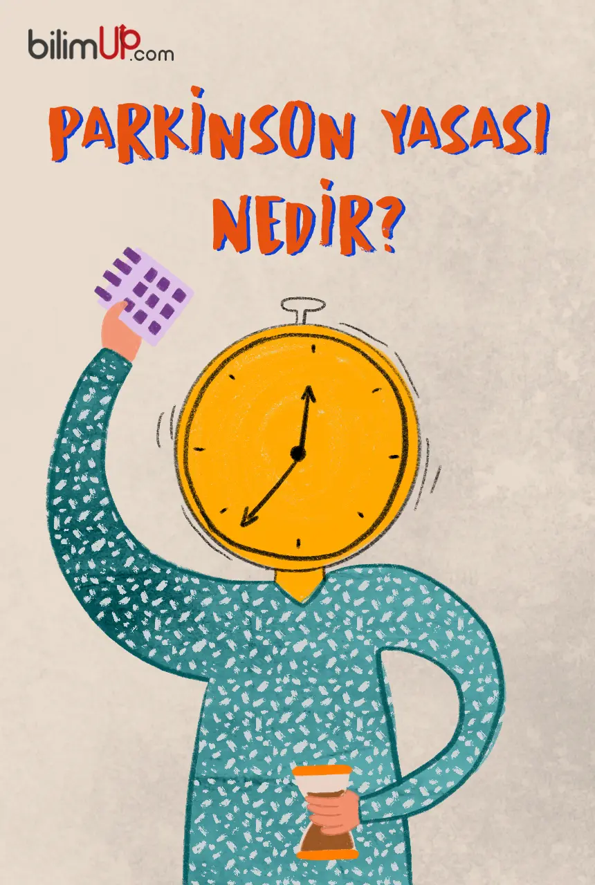 Parkinson Yasası  Nedir?